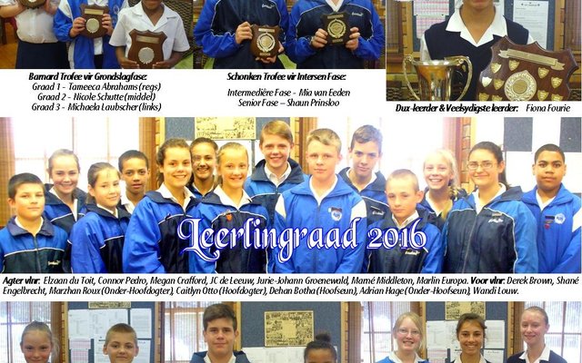 Collage Monica Hayes